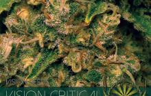 Vision Critical Auto by Vision Seeds